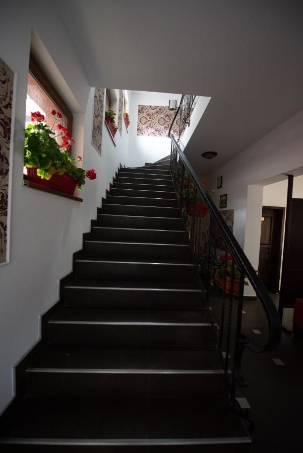 Гостевой дом Pension Arena Клуж-Напока-13