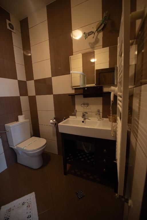 Гостевой дом Pension Arena Клуж-Напока-53